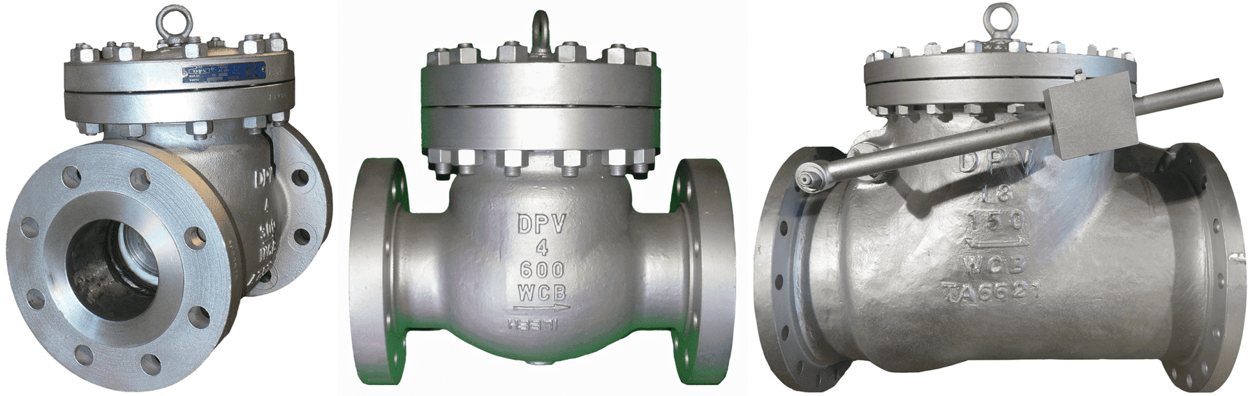 Swing Check Valves | DPV® Swing Check Valves Page