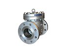 4” DPV® 3032F ANSI Class 300 Flanged BS 1868 Swing Check Valve, Bolted Cover, Internal Disc Hanger Design, with PTFE Soft Seat